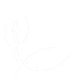 International Coral Reef Action Network logo