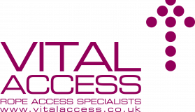 Vital Access Limited logo