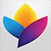 Advanced Valve Solutions logo