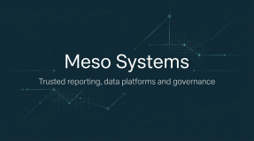 Mesosys logo