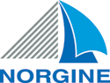 Norgine International Limited logo