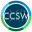Custom Computer Services Limited