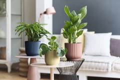 Elho UK Plant Pot Manufacturers Limited logo