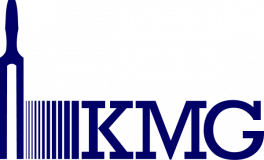 Kmg Systems Limited