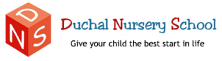 Duchal Systems Limited logo