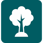 A Artemis Tree Services logo