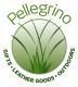 England Pellegrino Limited Logo