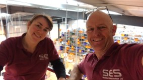 Steve's Electrical Services Limited