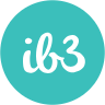 I B 3 Limited