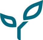 The Nursery Research And Planning Limited