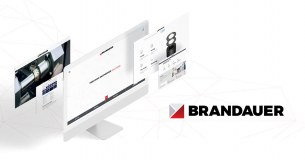C Brandauer And Co. Limited