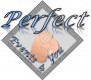 Perfect Events 4 You Logo