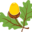 Ryde Junior Mixed Infant And Nursery School logo