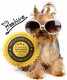 Poochisimo Dog Boutique Logo