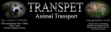 Transpet Logo