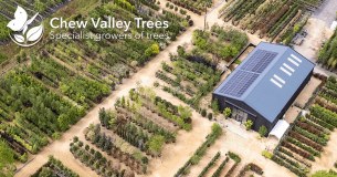 Chew Valley Trees Limited