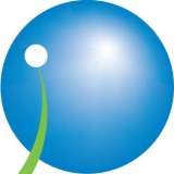 Solution Factors Limited