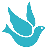 Gray Areas Limited logo