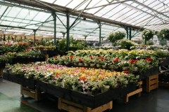 St.John's Nurseries (North Devon) Limited