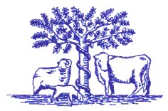 Bredy Veterinary Centre Limited