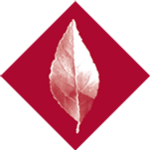 Bell Architects Limited logo