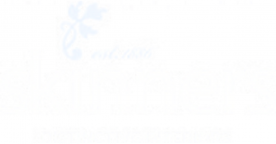 Skinners Of Tunbridge Wells Limited logo
