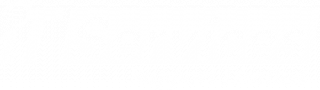 I T Services Support Limited