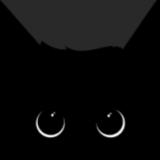 Design Cat Limited