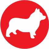 Popco Entertainment (UK) Limited logo