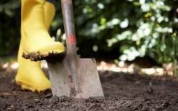 Oak Hill Community Nursery Limited