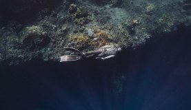 Canary Divers