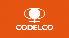Codelco Services Limited
