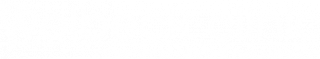 The Welbeck Clinic logo