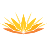 Wines Of South Africa Limited logo