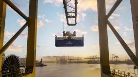 Dp World Limited