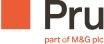 Prudential International Limited logo
