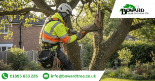 Boward Tree Surgery Limited