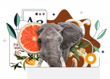 Extensis Europe logo