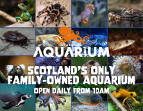 St. Andrews Aquarium Limited