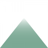 North Vet Veterinary Group logo