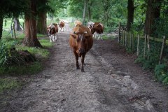 Old Plaw Hatch Farm Limited
