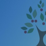 Dinnington Village First School logo