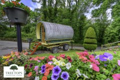 Treetops Caravan Park Limited