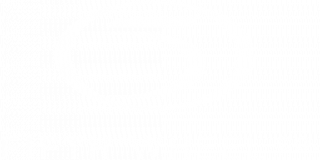 The Fifth Wheel Company Limited logo