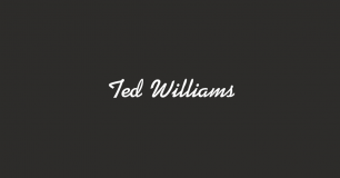 Ted Williams Of Birmingham Limited logo