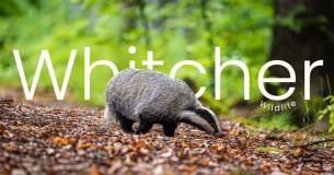 Whitcher Wildlife Limited