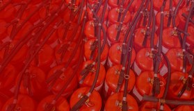 Uniguard Fire Protection