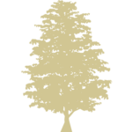 The Cedars Hotel & Restaurant