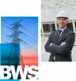 Bws International Constructionconsultants Limited logo