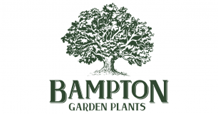 Bampton Garden Plants
